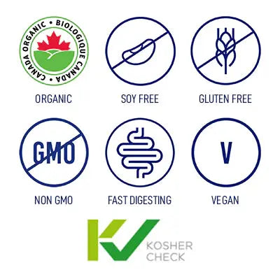 Plant-Based Protein Powder 2k Fitness Rabbi