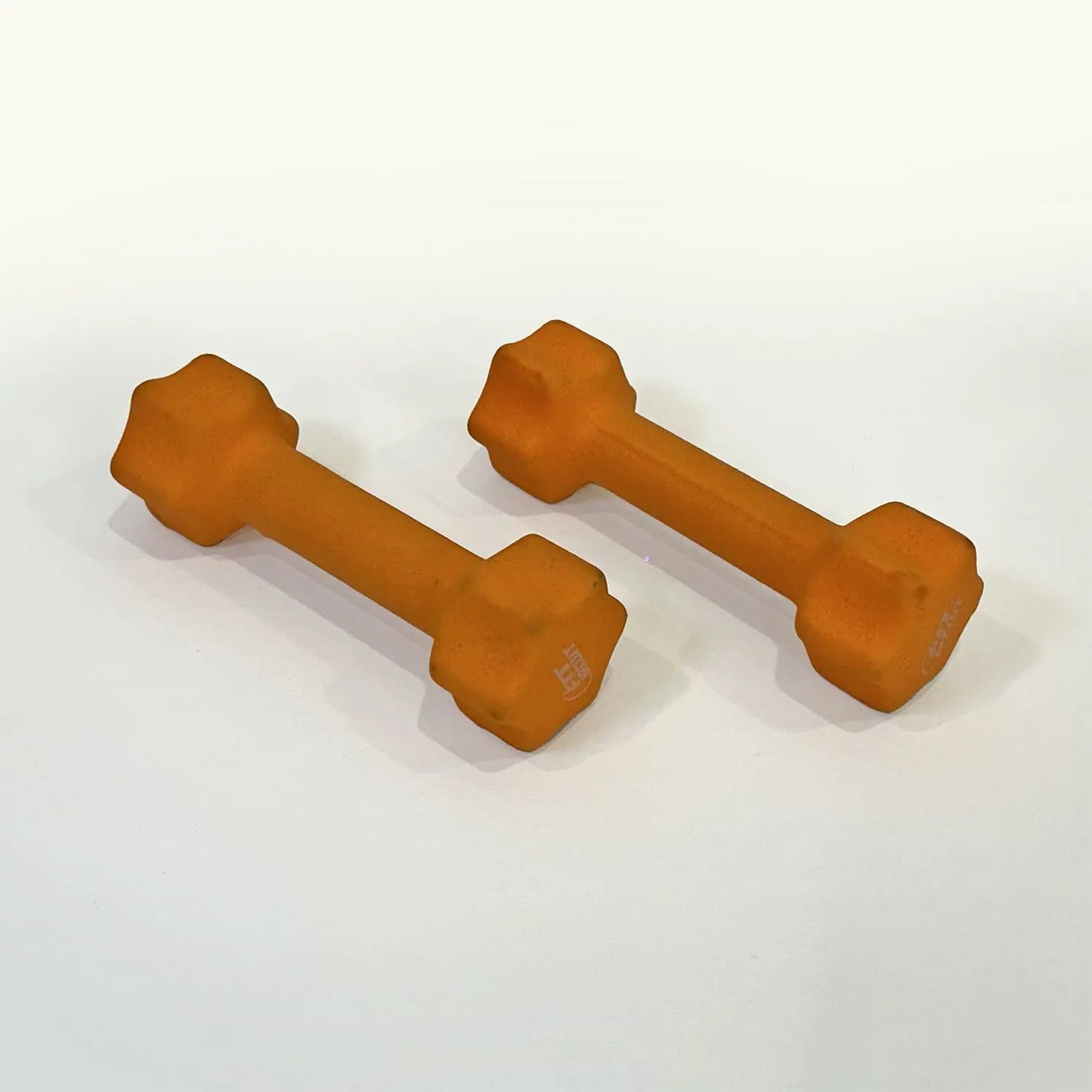Gym In A Bag Fitness Rabbi